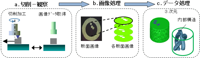 断面画像データ取得からデータ処理までの流れ